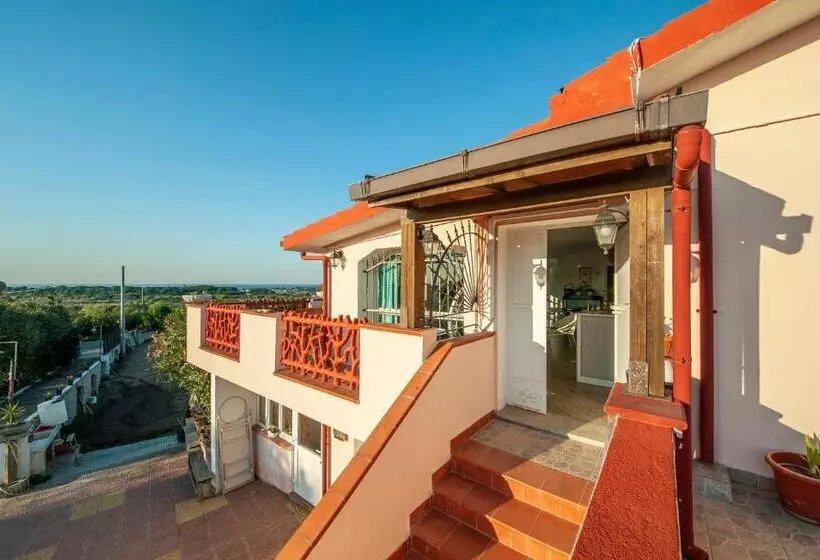 B&b Il Vigneto