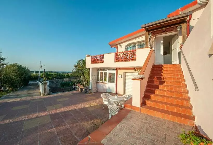 B&b Il Vigneto
