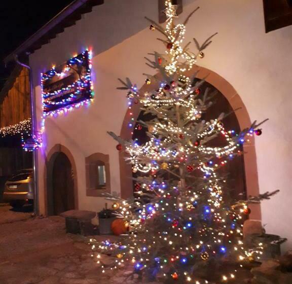 צימר Serendipity Bed&breakfast