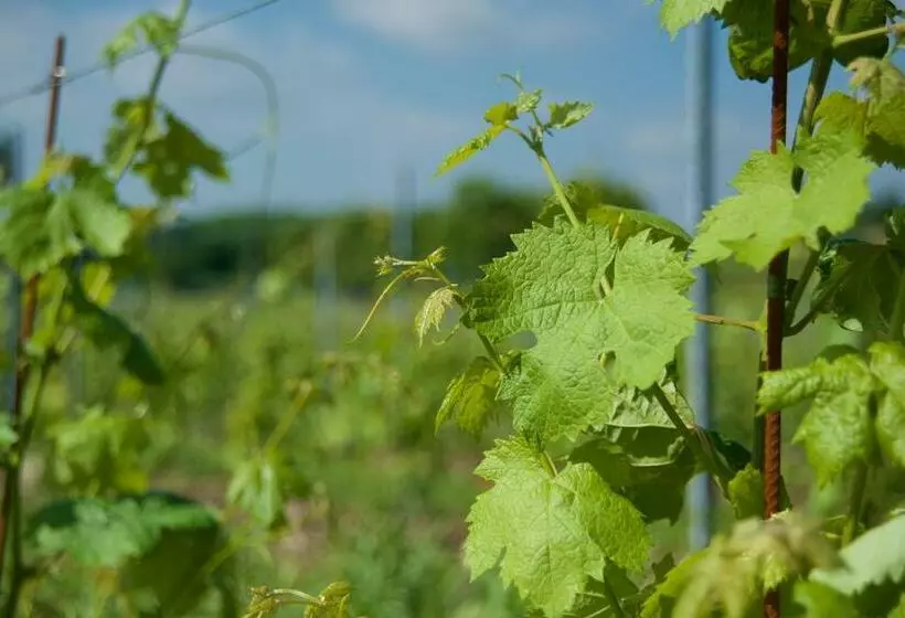 هتل Agriturismo Albarello