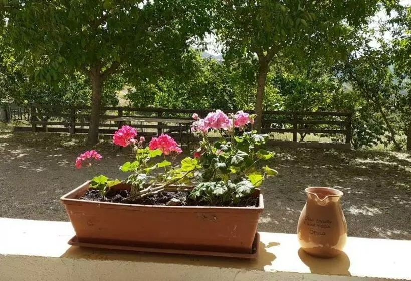 ホテル Agriturismo S Armidda