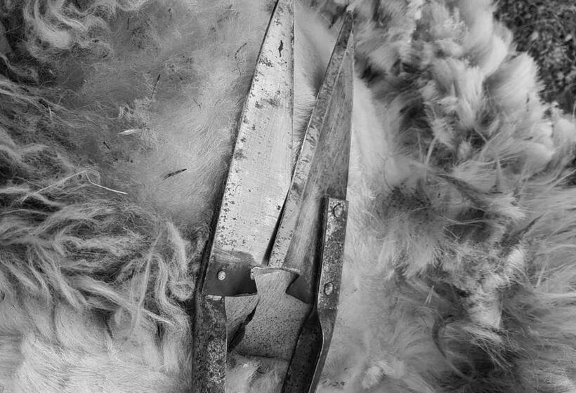 酒店 Agriturismo S Armidda