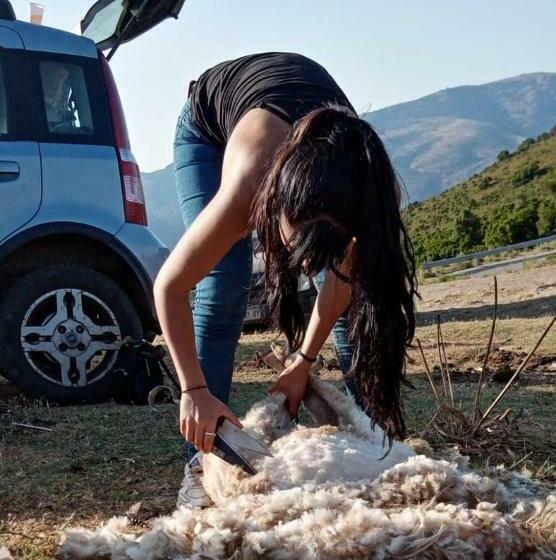 酒店 Agriturismo S Armidda