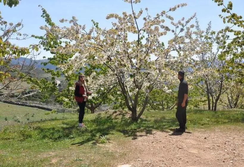 ホテル Agriturismo S Armidda