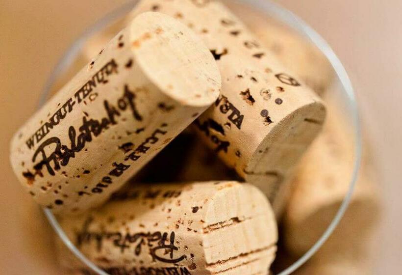 בית מלון כפרי Prälatenhof Wine & Apartments