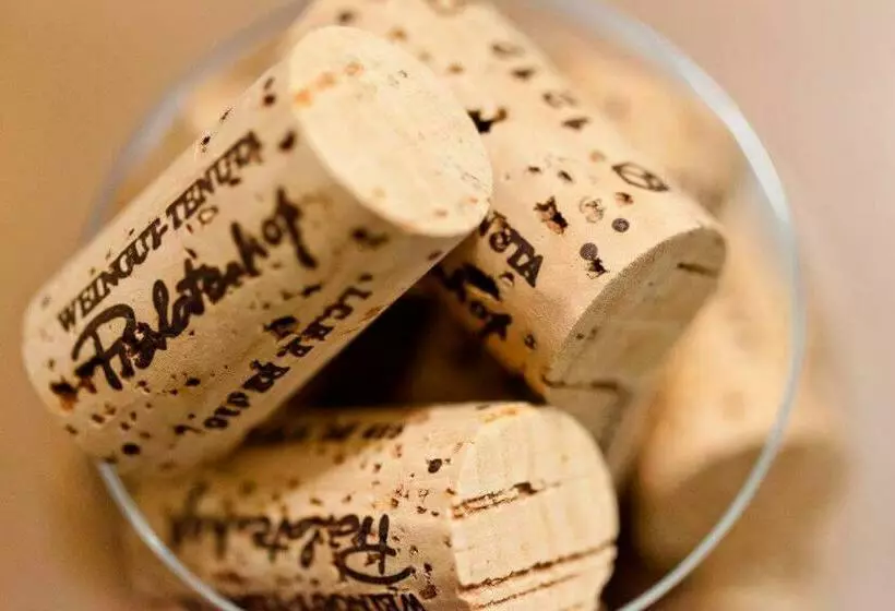 ホテル Prälatenhof Wine & Apartments