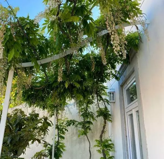 Majatalo Ninho Salino