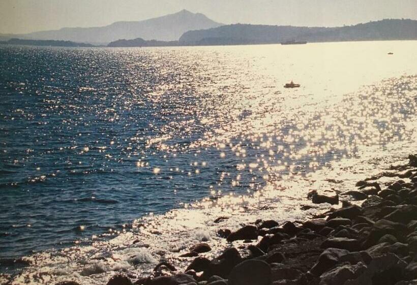 B&b Real La Favorita