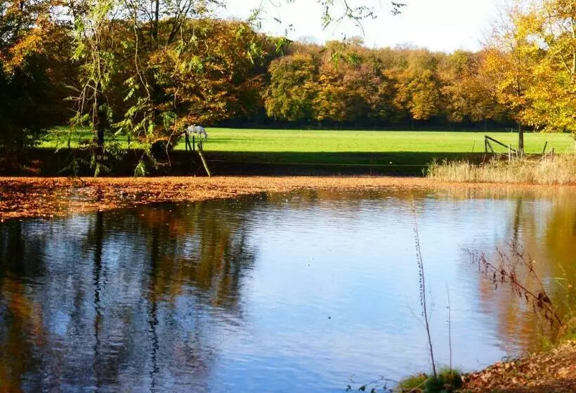 Aamiaismajoitus (B&B) De Zanderij