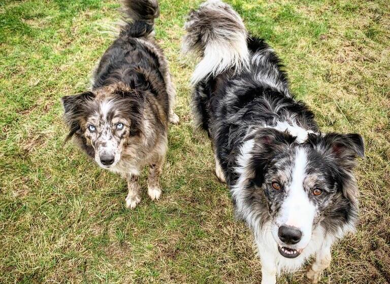 تختخواب و صبحانه La Belle étable