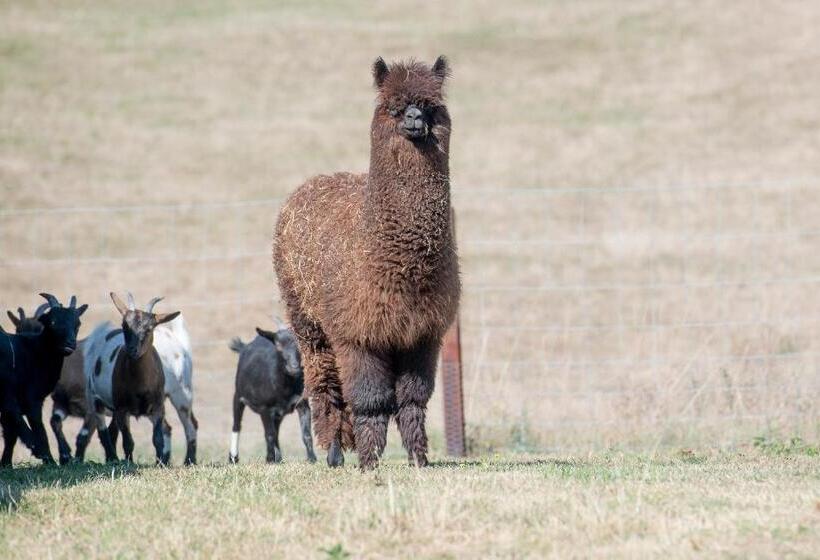 تختخواب و صبحانه La Belle étable