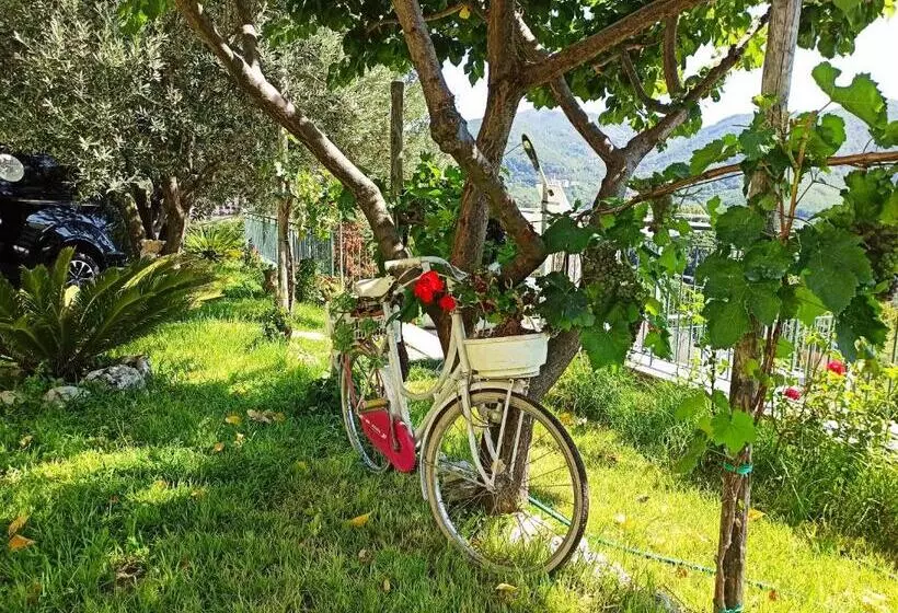 Aamiaismajoitus (B&B) La Roccia Incantata Amalfi Coast