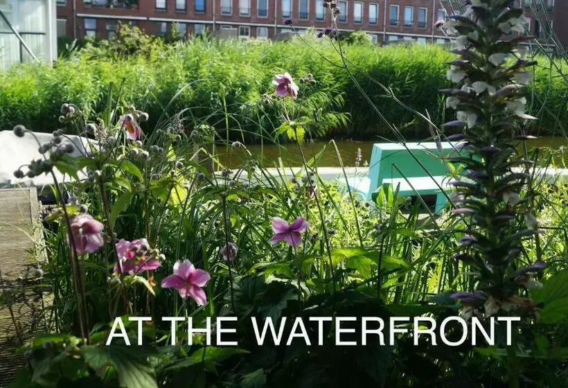 ベッドアンドブレックファースト Room With A Few