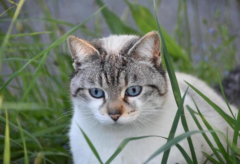 酒店 Bauernhof Mairing