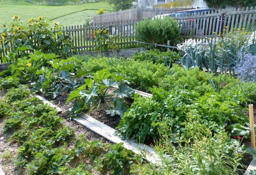 酒店 Bauernhof Mairing