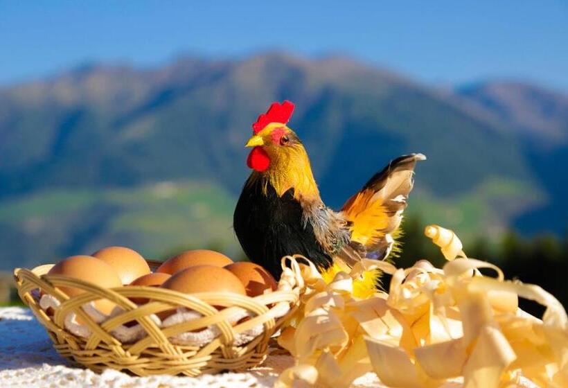 酒店 Bauernhof Mairing