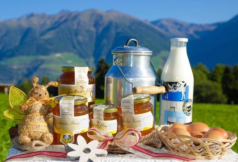 酒店 Bauernhof Mairing