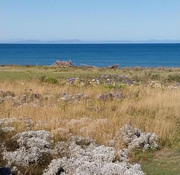 Rarangi Seaview On The Beach B&b
