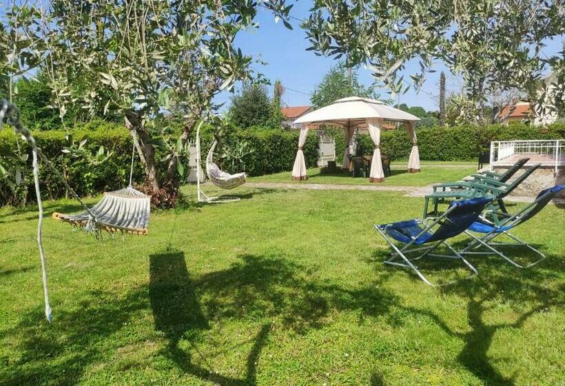 ベッドアンドブレックファースト La Mimosa Chic