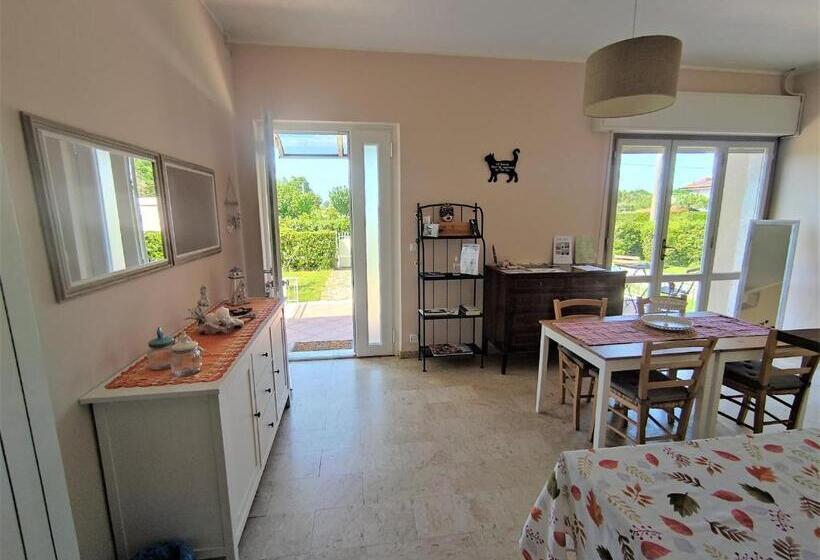 ベッドアンドブレックファースト La Mimosa Chic