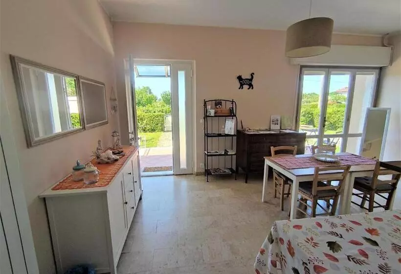 ベッドアンドブレックファースト La Mimosa Chic