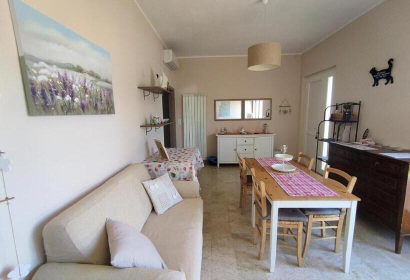 ベッドアンドブレックファースト La Mimosa Chic