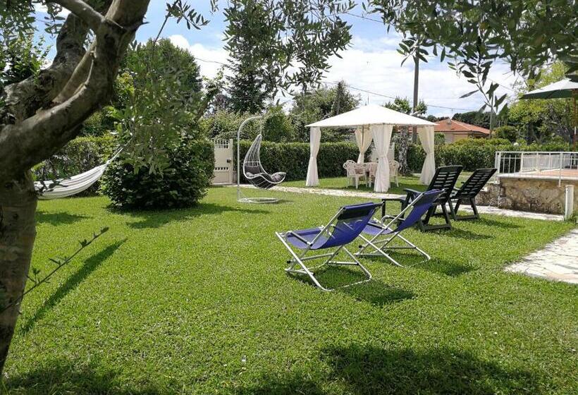 ベッドアンドブレックファースト La Mimosa Chic