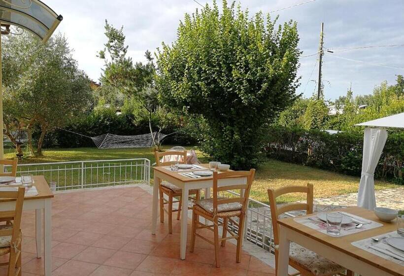 ベッドアンドブレックファースト La Mimosa Chic