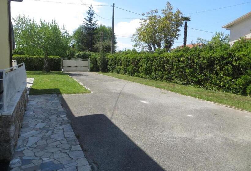 ベッドアンドブレックファースト La Mimosa Chic