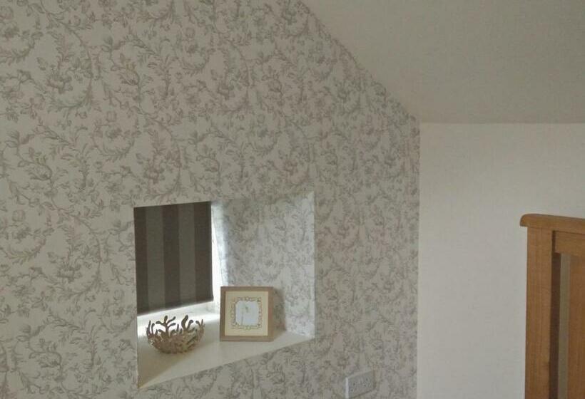 住宿加早餐  The Old Medical Hall