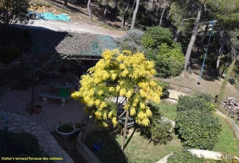 Aamiaismajoitus (B&B) Villa Violette