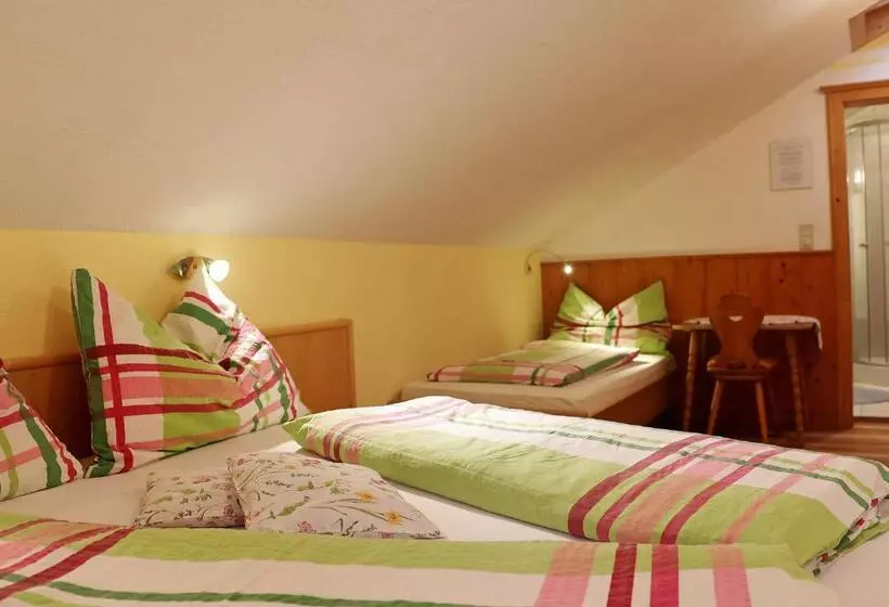 ホテル Haufhof Pension Am Bauernhof, Haus Im Ennstal Bei Schladming