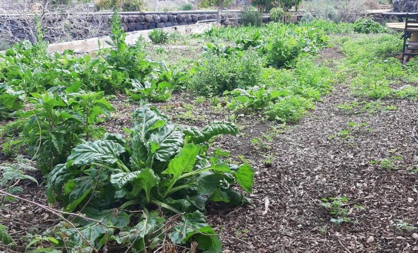 هتل Casa Rural Finca Las Dulces