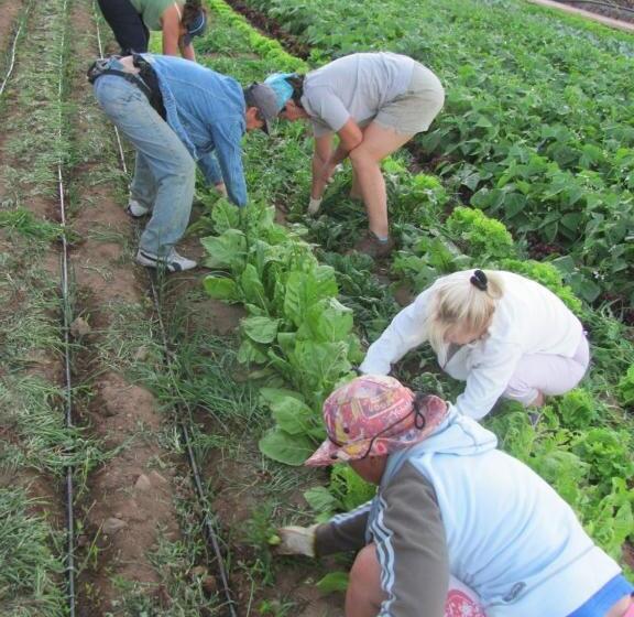هتل Casa Rural Finca Las Dulces