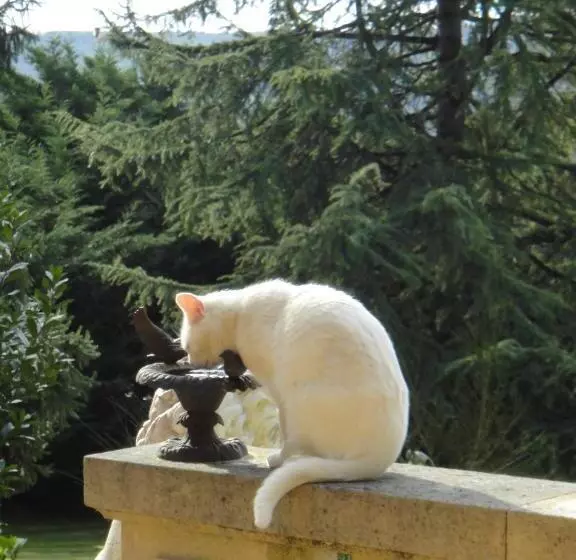 Majatalo Le Tambourinet
