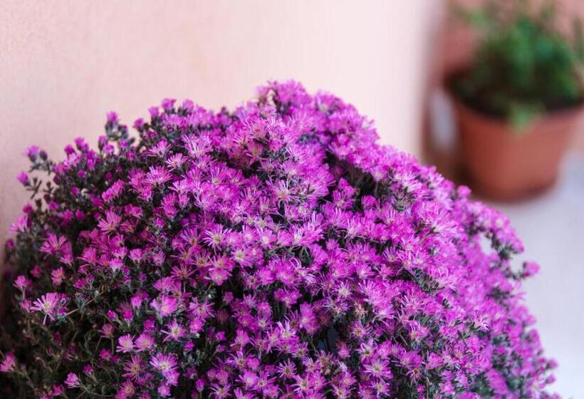 مبيت وإفطار Villa Dei Mercanti