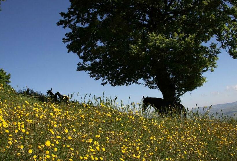 Hotel Agriturismo Il Regio Tratturo