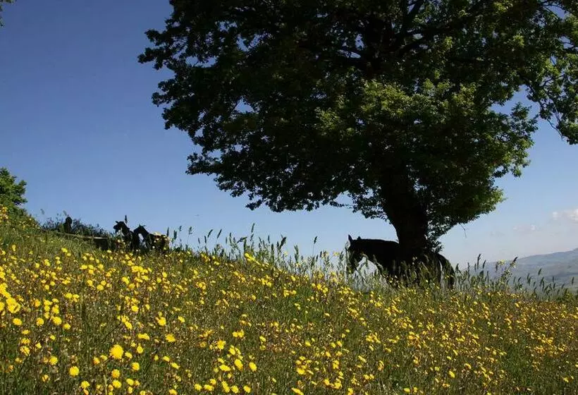 Hotelli Agriturismo Il Regio Tratturo
