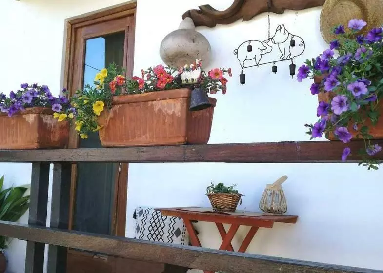 ホテル Vila Delfina
