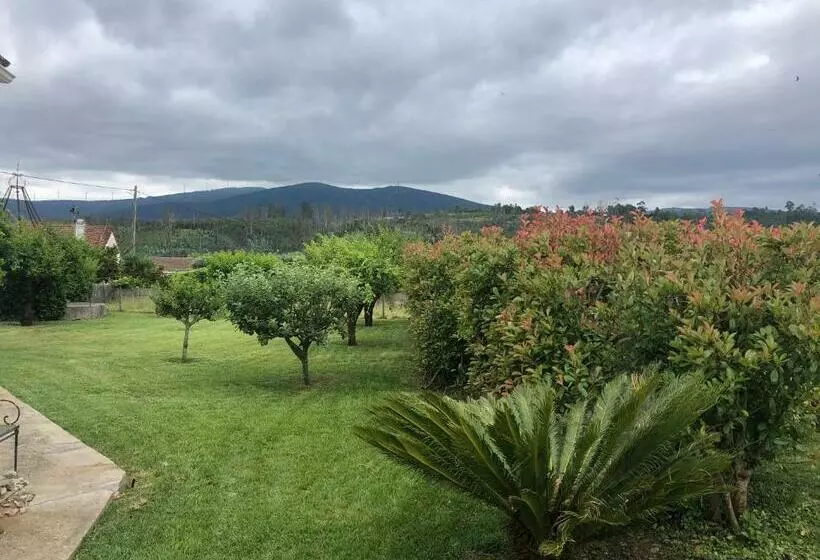 ホテル Vila Delfina