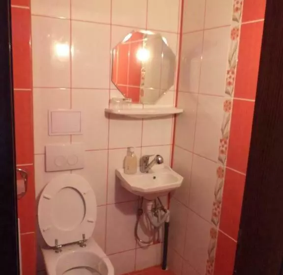 Majatalo Camere De Inchiriat  Spicului
