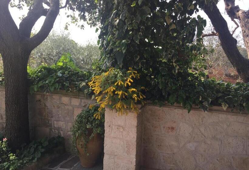 ペンション Il Trullo Di Nonno Angelo San Marco