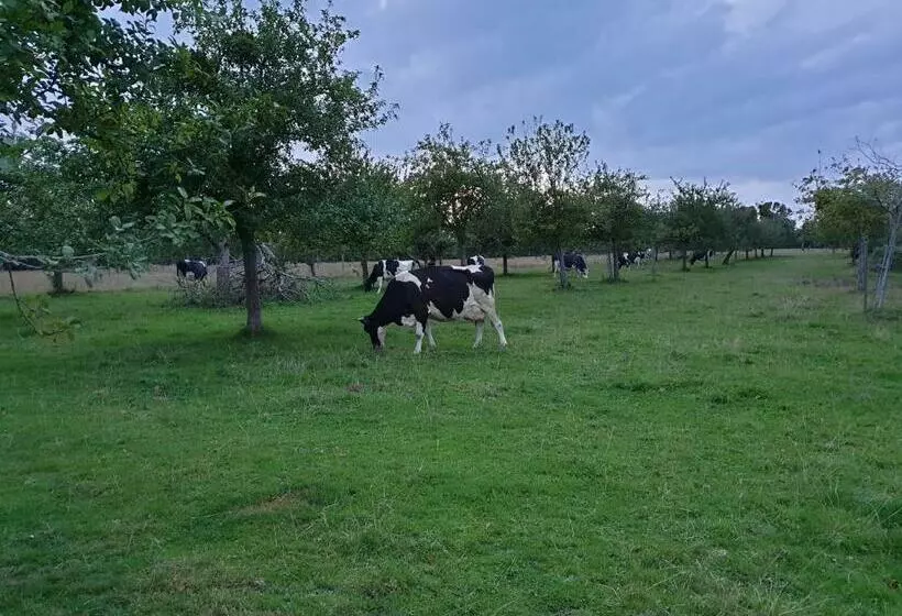 پانسیون La Ferme Chevalier