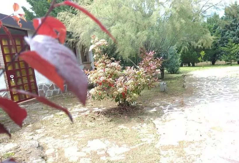 Majatalo Tamerici House