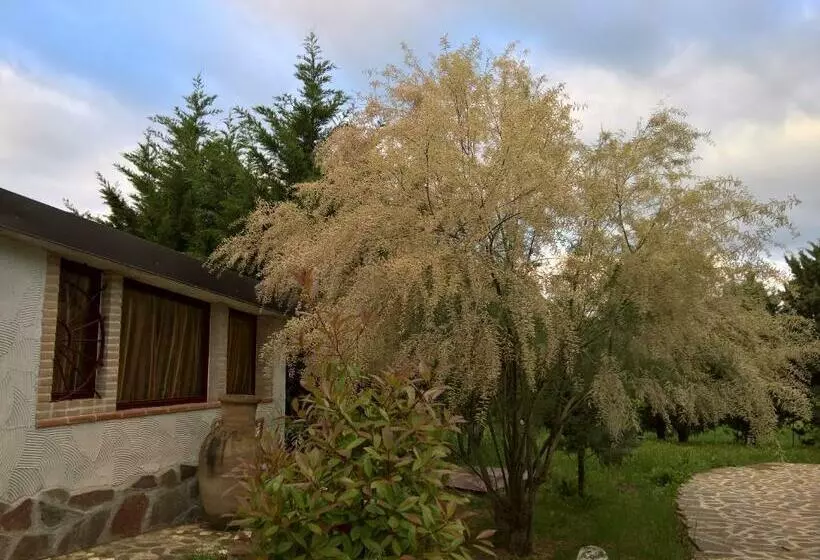 Majatalo Tamerici House