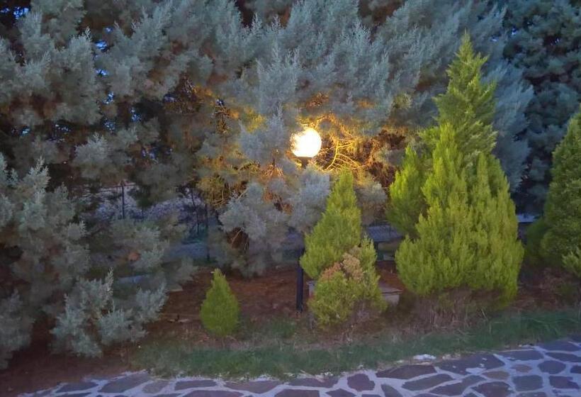 膳宿费 Tamerici House