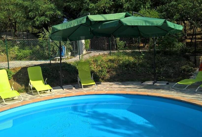 膳宿费 Tamerici House