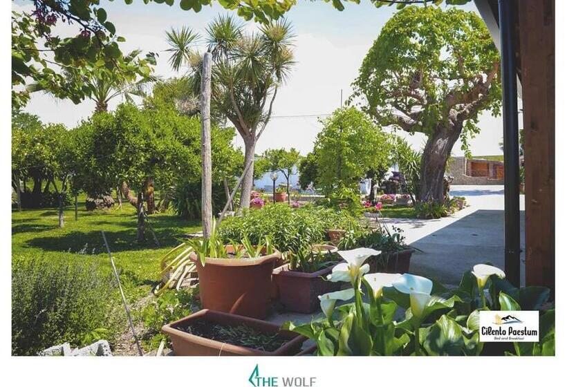 B&b Cilento Paestum