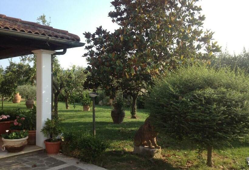 تختخواب و صبحانه La Spiga