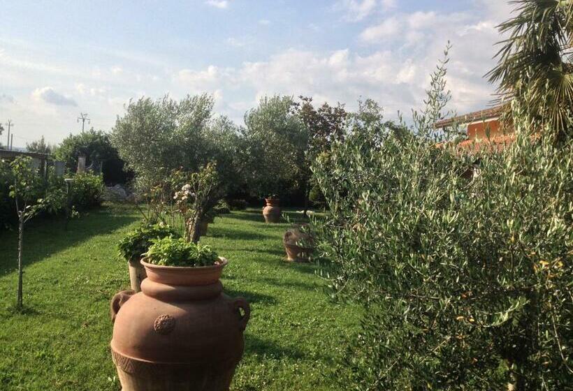 تختخواب و صبحانه La Spiga